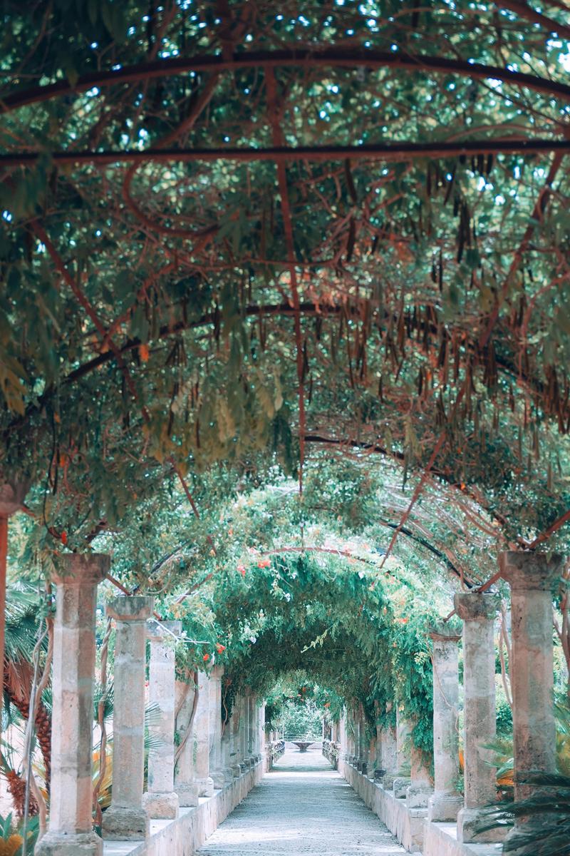 Tropical garden