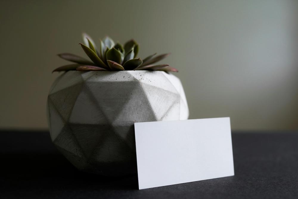 concrete planter