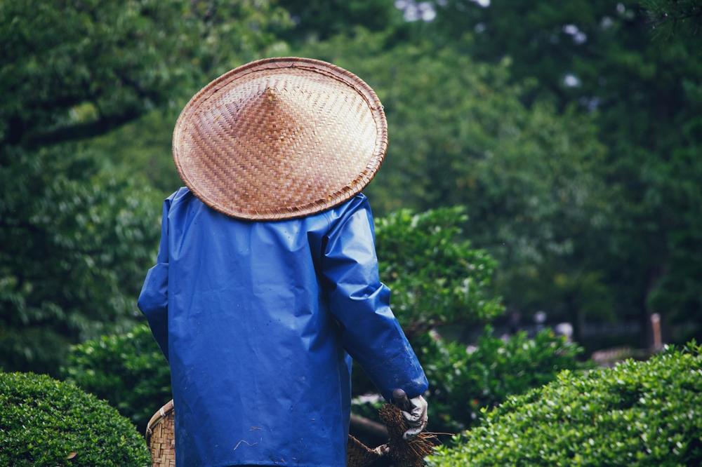 garden gardening
